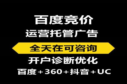 行业领先企业的网站sem托管实践